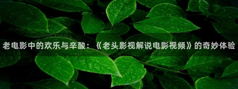 电视剧免费观看电视剧大全在线观看樱桃红