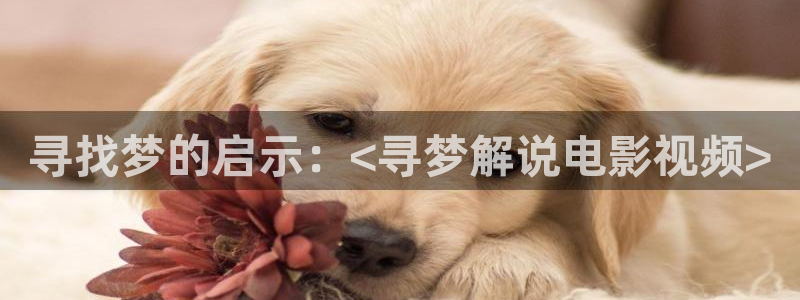 樱桃视频短剧