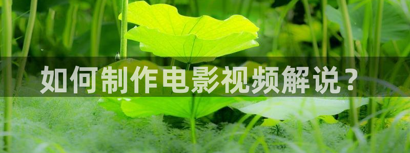 四川樱桃
