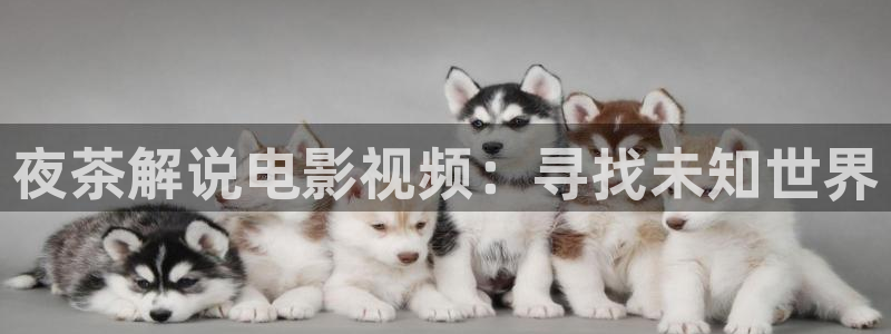 樱桃视频社区