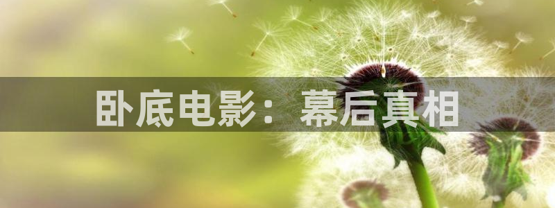 新闻图片
