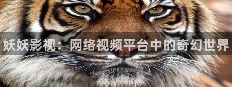樱桃视频怎么下载