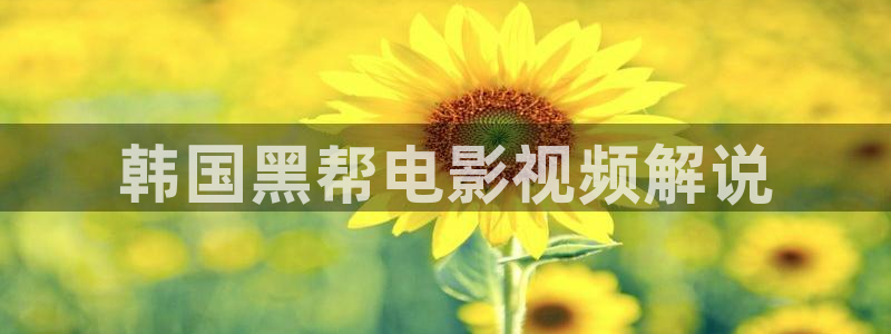 樱桃视频一对一