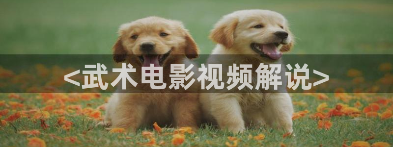 樱桃片子