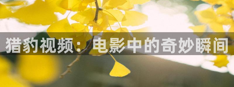 免费下载樱桃视频