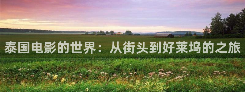 樱桃视频app.